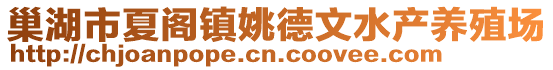 巢湖市夏阁镇姚德文水产养殖场