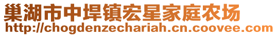 巢湖市中垾鎮(zhèn)宏星家庭農(nóng)場