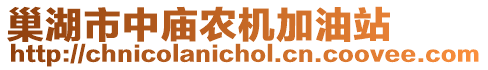 巢湖市中廟農(nóng)機加油站