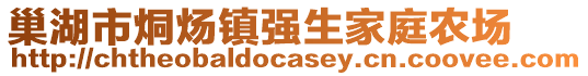 巢湖市烔煬鎮(zhèn)強生家庭農(nóng)場