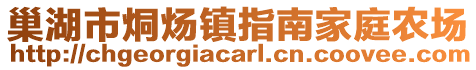 巢湖市烔煬鎮(zhèn)指南家庭農(nóng)場(chǎng)