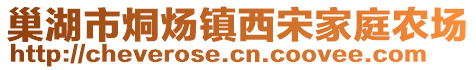 巢湖市烔煬鎮(zhèn)西宋家庭農(nóng)場