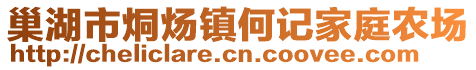 巢湖市烔煬鎮(zhèn)何記家庭農(nóng)場