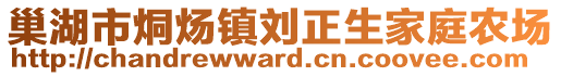 巢湖市烔煬鎮(zhèn)劉正生家庭農(nóng)場