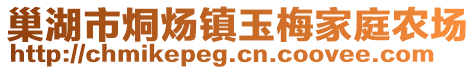 巢湖市烔煬鎮玉梅家庭農場