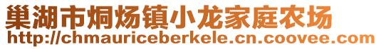 巢湖市烔煬鎮小龍家庭農場