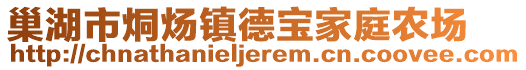 巢湖市烔煬鎮(zhèn)德寶家庭農(nóng)場