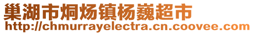 巢湖市烔煬鎮(zhèn)楊巍超市