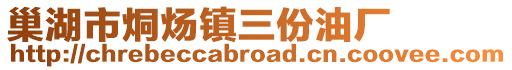 巢湖市烔煬鎮三份油廠