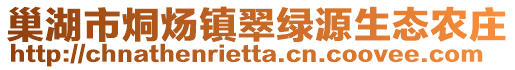 巢湖市烔煬鎮(zhèn)翠綠源生態(tài)農(nóng)莊