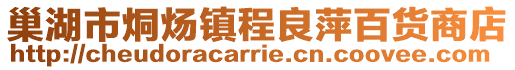 巢湖市烔煬鎮程良萍百貨商店