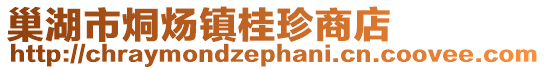 巢湖市烔煬鎮桂珍商店