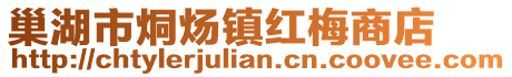 巢湖市烔煬鎮紅梅商店