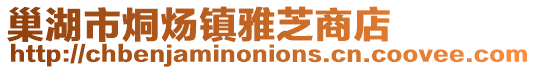 巢湖市烔煬鎮雅芝商店