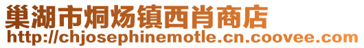 巢湖市烔煬鎮西肖商店