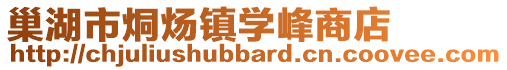 巢湖市烔煬鎮學峰商店
