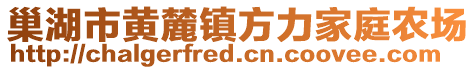 巢湖市黃麓鎮(zhèn)方力家庭農(nóng)場