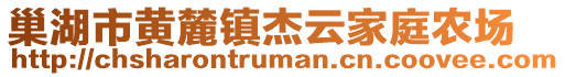 巢湖市黃麓鎮杰云家庭農場