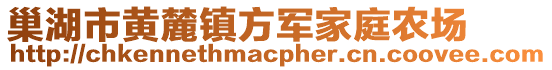 巢湖市黃麓鎮(zhèn)方軍家庭農(nóng)場