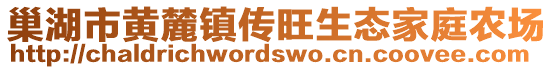 巢湖市黃麓鎮(zhèn)傳旺生態(tài)家庭農(nóng)場