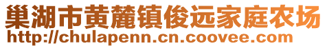 巢湖市黃麓鎮俊遠家庭農場
