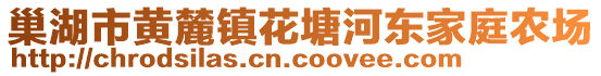 巢湖市黃麓鎮(zhèn)花塘河東家庭農(nóng)場