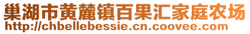 巢湖市黃麓鎮百果匯家庭農場