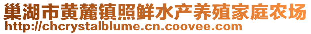 巢湖市黃麓鎮照鮮水產養殖家庭農場