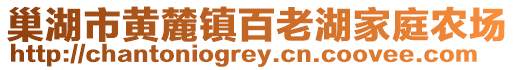 巢湖市黃麓鎮(zhèn)百老湖家庭農(nóng)場