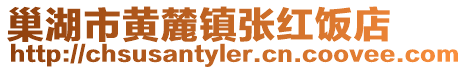 巢湖市黃麓鎮(zhèn)張紅飯店