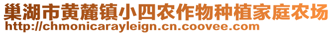 巢湖市黃麓鎮(zhèn)小四農(nóng)作物種植家庭農(nóng)場