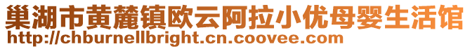 巢湖市黃麓鎮歐云阿拉小優母嬰生活館
