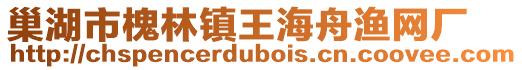 巢湖市槐林鎮(zhèn)王海舟漁網(wǎng)廠