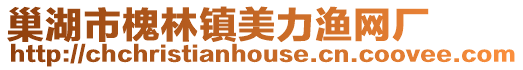 巢湖市槐林鎮美力漁網廠