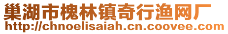 巢湖市槐林鎮奇行漁網廠