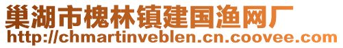 巢湖市槐林鎮建國漁網廠