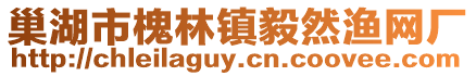 巢湖市槐林鎮毅然漁網廠