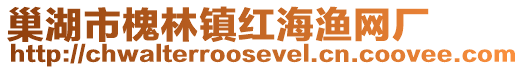 巢湖市槐林鎮紅海漁網廠