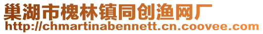 巢湖市槐林鎮同創漁網廠