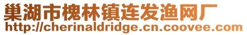 巢湖市槐林鎮(zhèn)連發(fā)漁網(wǎng)廠(chǎng)