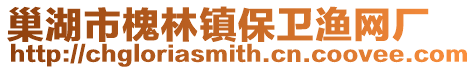 巢湖市槐林鎮保衛漁網廠