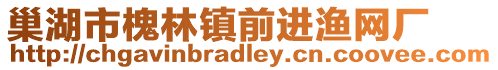 巢湖市槐林鎮(zhèn)前進(jìn)漁網(wǎng)廠