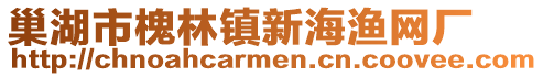 巢湖市槐林鎮(zhèn)新海漁網(wǎng)廠