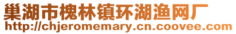 巢湖市槐林鎮環湖漁網廠