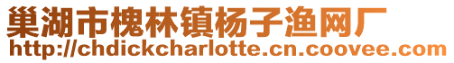 巢湖市槐林鎮(zhèn)楊子漁網(wǎng)廠