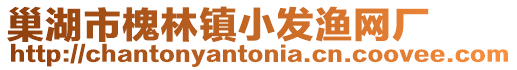 巢湖市槐林鎮(zhèn)小發(fā)漁網(wǎng)廠