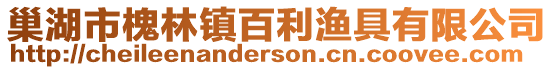 巢湖市槐林鎮百利漁具有限公司