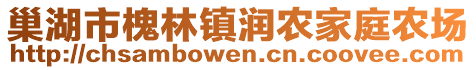巢湖市槐林鎮潤農家庭農場