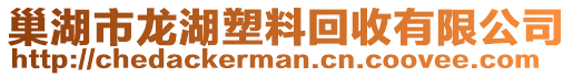 巢湖市龍湖塑料回收有限公司