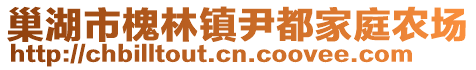 巢湖市槐林鎮(zhèn)尹都家庭農(nóng)場